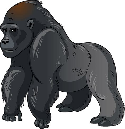 Gorilla clipart - A group of gorillas is called a band or a troop. Gorillas usually travel in groups of six to 12 individuals led by the most dominant male. The group is made up of mostly females, t...
